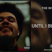 The Weeknd Until I Bleed Out 432Hz Version Nxovmbr