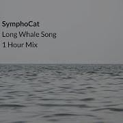 Symphocat