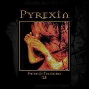 Pyrexia System Of The Animal 25