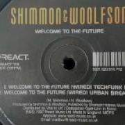 Welcome To The Future Shimmon Wolfson