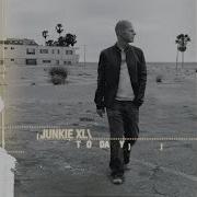 Junkie Xl Such A Tease