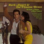 Magic Trumpet Herb Alpert