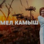 Юлия Боголепова Шумел Камыш