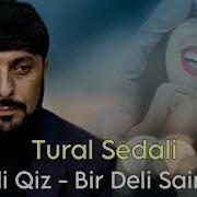 Tural Sedali Bir Deli Sair