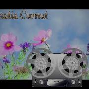 Formatia Curnut Группа Курнуц Dami Barbate Cheile