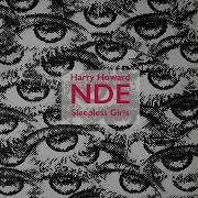 Harry Howard The Nde 25 Cent Paperback