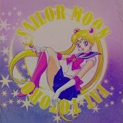 Fat Totoro Sailor Moon