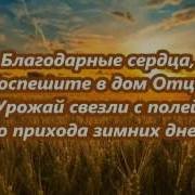 Благодарные Сердца Караоке