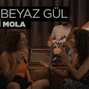 Gül Beyaz Gül Akustik Zeynep Bastık Ezgimolaa Zeynep Bastık