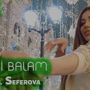 Aygul Seferova Delidi Balam Official Video