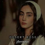 Hamidshax Desert Rose