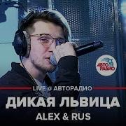 Дикая Львица Авторадио