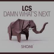 Lcs Damn Whats Next Extended