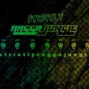 Dj Stp Strictly Ragga Jungle Compilation Album Vol 3