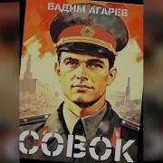 2 Книга Совок Вадим Агарев