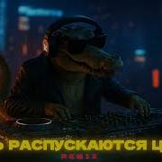 Dj Crocodildo Пусть Распускаются Цветы Где Блать Remix