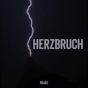 Herzbruch