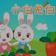 咬兔子白兔子
