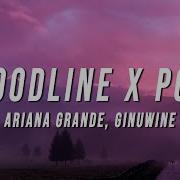 Ariana Grande Bloodline X Pony