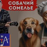 Галасы Зместа Собачий Сомелье