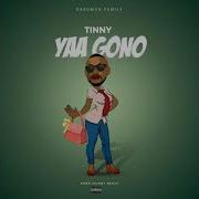 Tinny Yaa Gono