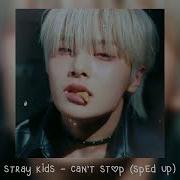 Stray Kids Can T Stop Speed Up