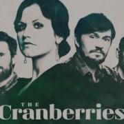 Roses The Cranberries