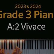 Vivace A