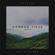 Koresma The Overlook Feat Common Tiger