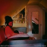 Dani Sylvia Beautiful Chaos