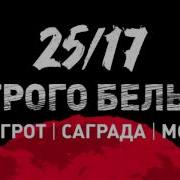 2517 Строго Белые