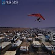 Pink Floyd Dogs Of War