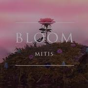 Mitis Bloom