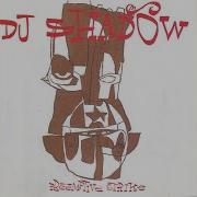 Organ Donor Extended Overhaul Dj Shadow