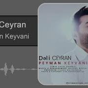 Peyman Keyvani Deli Ceyran