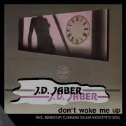 Don T Wake Me Up Flemming Dalum Remix