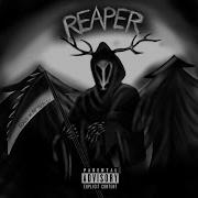 Netnobody Reaper