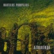 Абсолютное Белое Nautilus Pompilius