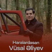 Vüsal Əliyev Haralardasan