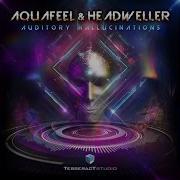 Auditory Hallucinations Aquafeel Headweller