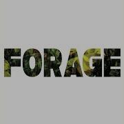 Forage Harmony