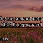 Премьеры Песен 2024 Года