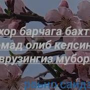 Кунгилга Якин Кушиклар 7