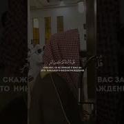Мухаммад Аль Люхайдан Сура Сад 81 88