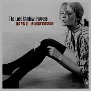 Calm Like You The Last Shadow Puppets
