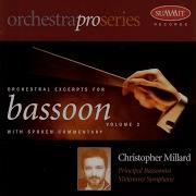 Symphony No 10 Christopher Millard