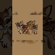 Коты Воители Песчаная Буря