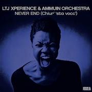 Ltj Xperience Ammuin Orchestra Never End Long Version