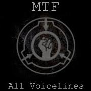 Ntf Voicelines Voice