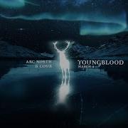 Arc North Youngblood Arc North